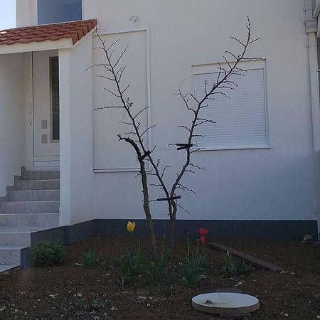 Apartmani Suncokreti - Sunflower Apartments Bar Exterior photo
